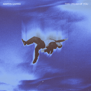 martin garrix this dream of you